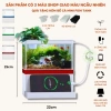 Bể Cá Mini Hồ Thủy Sinh để bàn - Đồng Hồ Đèn LED, sỏi và cây trang trí, giảm giá 600k 10