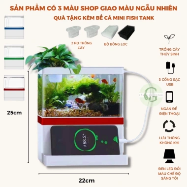 Bể Cá Mini Hồ Thủy Sinh để bàn - Đồng Hồ Đèn LED, sỏi và cây trang trí, giảm giá 600k 10 Bể Cá Mini Hồ Thủy Sinh để bàn - Đồng Hồ Đèn LED, sỏi và cây trang trí, giảm giá 600k 10