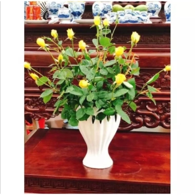 Bình cắm bông Lọ hoa hình bàn tay Phật - Gốm sứ Bát Tràng 17‑35cm, giá 108.000 VND 6