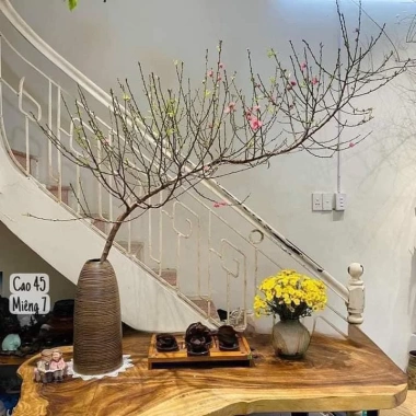 Bình cắm đào tết 44cm - Dáng chuông thon nâu mộc, sẵn ship hỏa tốc, giá ưu đãi 540k 3