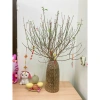 Bình cắm đào tết 44cm - Dáng chuông thon nâu mộc, sẵn ship hỏa tốc, giá ưu đãi 540k 4
