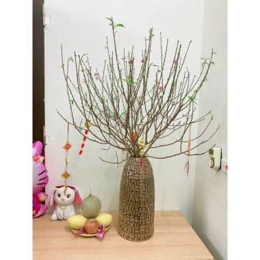 Bình cắm đào tết 44cm - Dáng chuông thon nâu mộc, sẵn ship hỏa tốc, giá ưu đãi 540k 4