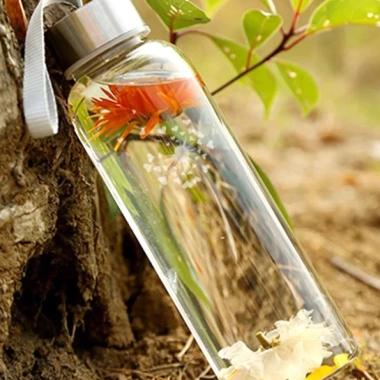 Bình Đựng Nước Thủy Tinh Lõi Lọc Trà Inox - Thiết Kế Sang Trọng, Giá Chỉ 27.000
