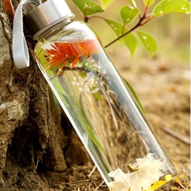 Bình Đựng Nước Thủy Tinh Lõi Lọc Trà Inox - Thiết Kế Sang Trọng, Giá Chỉ 27.000