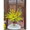 Bình hoa composite cao cấp cúp 38 - Decor nội thất, giá ưu đãi 195.000₫ 6