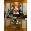 Bình hoa con công composite BH213 – Lọ cắm hoa cao cấp, trang trí sang trọng, giảm giá 379.000₫ 7