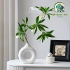 Bình Hoa Decor Nhựa Giả Gốm Sang Trọng - Thiết Kế Tối Giản, Lọ Để Bàn Trang Trí 9