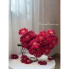 Bình hoa Magic dây xích Dona Home Decor – Điểm nhấn ảo thuật, giá 216.000₫ 6