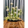 Bình hoa Magic dây xích Dona Home Decor – Điểm nhấn ảo thuật, giá 216.000₫ 9