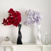 Bình hoa Sáng Tạo Đơn Giản, bình gốm cực lớn trang trí nhà cửa, giá ưu đãi 299.999đ