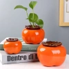 Bình hoa thủy sinh hình quả hồng - Lọ cắm hoa, chậu cây nước, decor nội thất 48.540₫ 2