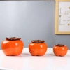 Bình hoa thủy sinh hình quả hồng - Lọ cắm hoa, chậu cây nước, decor nội thất 48.540₫ 4
