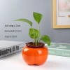 Bình hoa thủy sinh hình quả hồng - Lọ cắm hoa, chậu cây nước, decor nội thất 48.540₫ 6