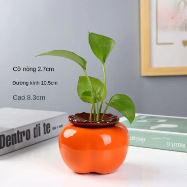 Bình hoa thủy sinh hình quả hồng - Lọ cắm hoa, chậu cây nước, decor nội thất 48.540₫ 6