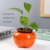 Bình hoa thủy sinh hình quả hồng - Lọ cắm hoa, chậu cây nước, decor nội thất 48.540₫ 7