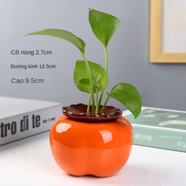 Bình hoa thủy sinh hình quả hồng - Lọ cắm hoa, chậu cây nước, decor nội thất 48.540₫ 7