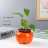 Bình hoa thủy sinh hình quả hồng - Lọ cắm hoa, chậu cây nước, decor nội thất 48.540₫ 8