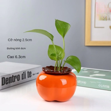 Bình hoa thủy sinh hình quả hồng - Lọ cắm hoa, chậu cây nước, decor nội thất 48.540₫ 8