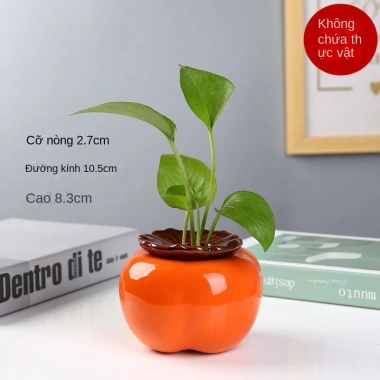 Bình hoa thủy sinh hình quả hồng - Lọ cắm hoa, chậu cây nước, decor nội thất 48.540₫ 9