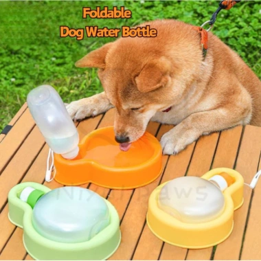 Bình Nước Gập Hình Bóng Bay Cho Chó - Du Lịch Thú Cưng Di Động Ngoài Trời 75.900₫ 2