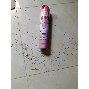 Bình sịt muỗi Ars - Diệt muỗi nhanh, không thuốc, an toàn, giảm giá 18% còn 65.000 VND