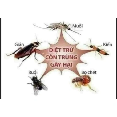 Bình sịt muỗi Ars - Diệt muỗi nhanh, không thuốc, an toàn, giảm giá 18% còn 65.000 VND