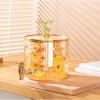Bình Thuỷ Tinh 3,6L Có Vòi Kèm Kệ Gỗ Hổ Phách Cao Cấp - Ngâm Trà Nước Hoa Quả M55 Giá 229k 2