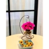 Bình thủy tinh trồng cây thủy sinh, treo giá, nuôi cá cảnh - Giá chỉ 24.000đ 9
