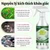 Bình Xịt Đuổi Chuột và Côn Trùng Rats Repellent 350ml - Chiết Xuất Thảo Mộc An Toàn, Siêu Hiệu Quả, Giá 45k 4