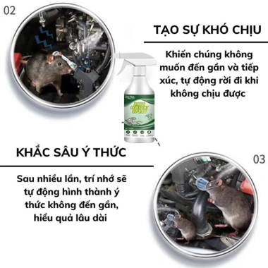Bình Xịt Đuổi Chuột và Côn Trùng Rats Repellent 350ml - Chiết Xuất Thảo Mộc An Toàn, Siêu Hiệu Quả, Giá 45k 6 Bình Xịt Đuổi Chuột và Côn Trùng Rats Repellent 350ml - Chiết Xuất Thảo Mộc An Toàn, Siêu Hiệu Quả, Giá 45k 6