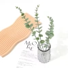 Bó 10 cành khuynh diệp giả 38cm - Lá táo nhân tạo nhà cửa, tiệc cưới, sự kiện - 49.000₫ 3