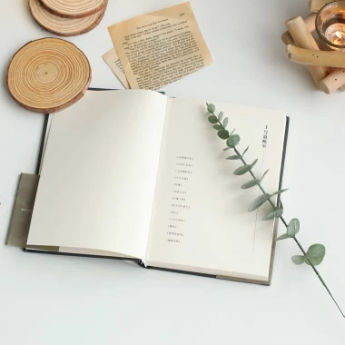Bó 10 cành khuynh diệp giả 38cm - Lá táo nhân tạo nhà cửa, tiệc cưới, sự kiện - 49.000₫ 4