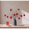 Bộ 10 đèn lồng giấy đỏ độc đáo, trang trí Tết lộng lẫy, giảm giá 69.791 đồng 3
