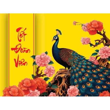 Bộ 10 túi đựng quà Tết sang trọng giá ưu đãi 110.000đ, đóng gói đẹp tiện lợi 3