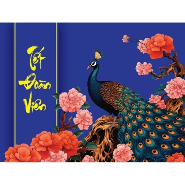 Bộ 10 túi đựng quà Tết sang trọng giá ưu đãi 110.000đ, đóng gói đẹp tiện lợi 5