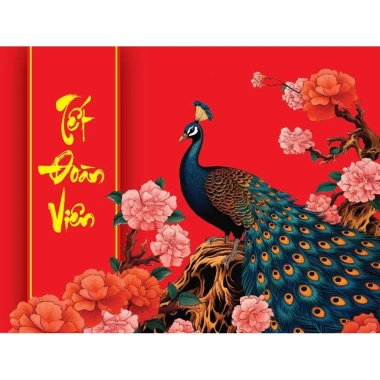 Bộ 10 túi đựng quà Tết sang trọng giá ưu đãi 110.000đ, đóng gói đẹp tiện lợi 6