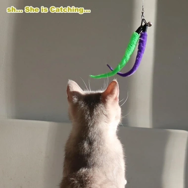 Bộ 11 món đồ chơi đa năng cho mèo: ba tầng, cần câu, tease stick, giảm giá 162.000₫