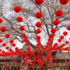 Bộ 30 Đèn lồng giấy nilon đỏ chống nước - Tết, văn phòng, khai trương, đuôi chữ phúc