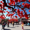 Bộ 30 Đèn lồng giấy nilon đỏ chống nước - Tết, văn phòng, khai trương, đuôi chữ phúc 3