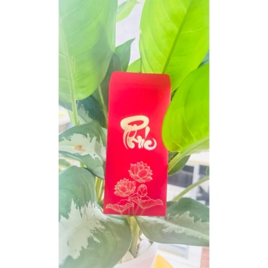Bộ 5 Bao Lì Xì Chữ Phúc - Giấy Mỹ Thuật Cao Cấp, Giá Ưu Đãi 19,000₫