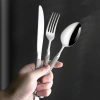 Bộ 5 Cột Tay Cầm La Mã Inox Cao Cấp va Dao Nĩa Thìa Bít Tết Phong Tây 6