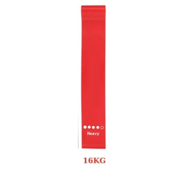 Bộ 5 Dây Kháng Lực Mini Band Cao Su Cao Cấp Garvin Sport – Giá chỉ 40.000, Tập Thể Hình & Thể Thao