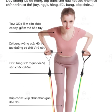 Bộ 5 Dây Kháng Lực Tập Body Ngũ Sắc Đàn Hồi, Kèm Phụ Kiện & Túi - Chỉ 159.000₫ 7