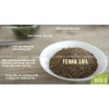 Bộ 9 bonsai mini terrarium – giống hiếm, dưới 10cm, cây tiểu cảnh, chỉ 29.000₫ (giá gốc 37.120₫) 8