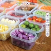 Bộ 9 hộp nhựa LivingOn Hàn Quốc có nắp đậy kín, đa kích thước, an toàn thực phẩm 5
