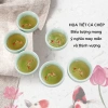 Bộ ấm trà men ngọc cá chép 3D nổi sắc nét – Gốm sứ cao cấp, hộp túi đẹp tặng biếu 9
