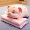 Bộ Chăn Gối 3 trong 1 Fhome – Thoáng Mát, Tiện Lợi, Giá Ưu Đãi 139k 7