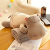 Bộ Chăn Gối Văn Phòng Siêu Tiện Ích Hình Thú FHC989 Giá 109.470đ Giảm còn 89.000đ 5