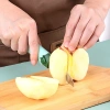 Bộ dao gọt trái cây đa năng 2 trong 1 thép không gỉ 304 - Dụng cụ gọt vỏ rau củ quả siêu bền, giá chỉ 16.000 VND 7