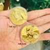 Bộ đôi đồng xu Ngựa Úc lì xì Tết - Túi Lộc nhung đỏ, giảm giá còn 12.826₫ 10